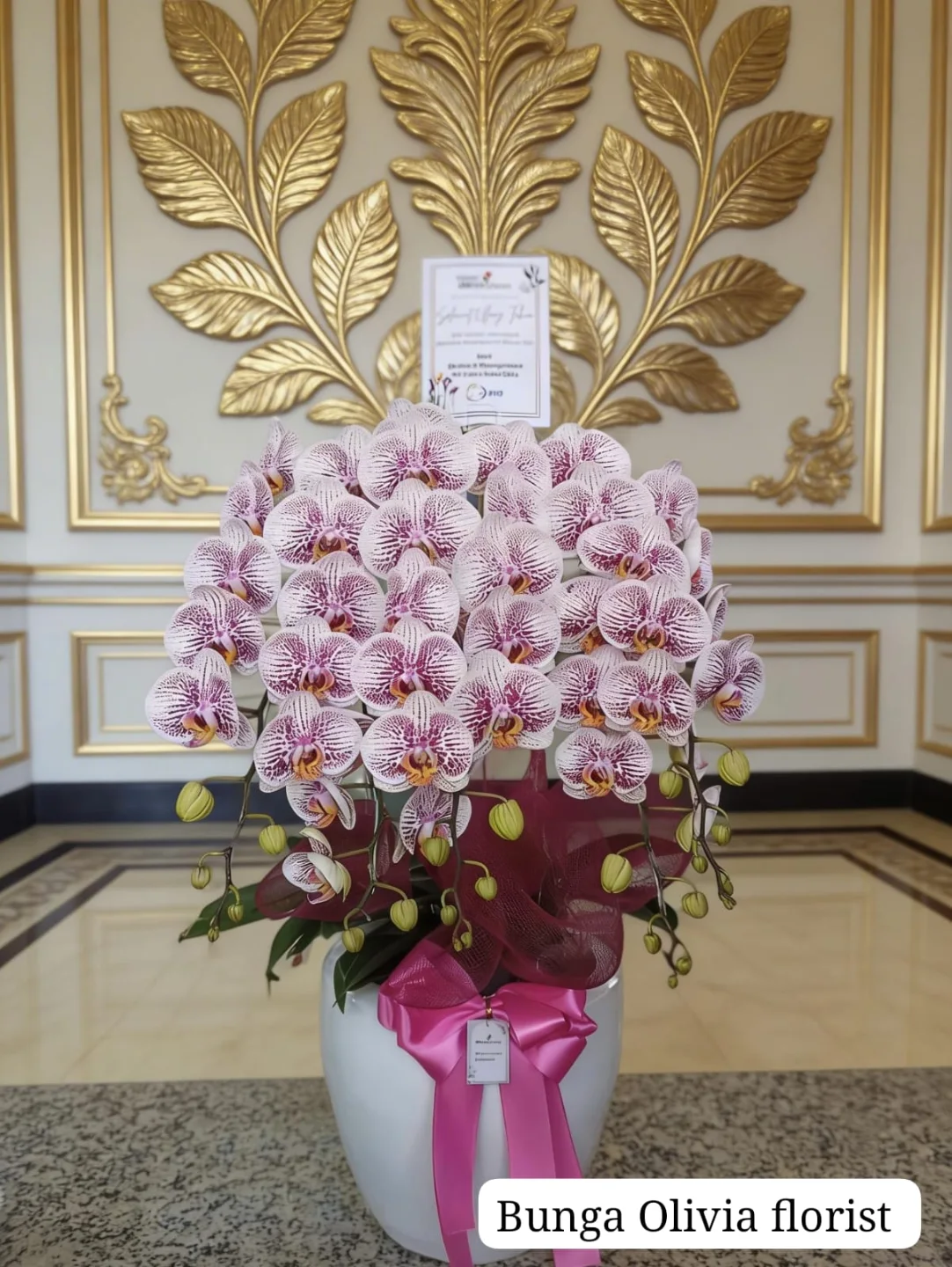 Anggrek Bulan WF-AGR-S005 - IndoFlorist
