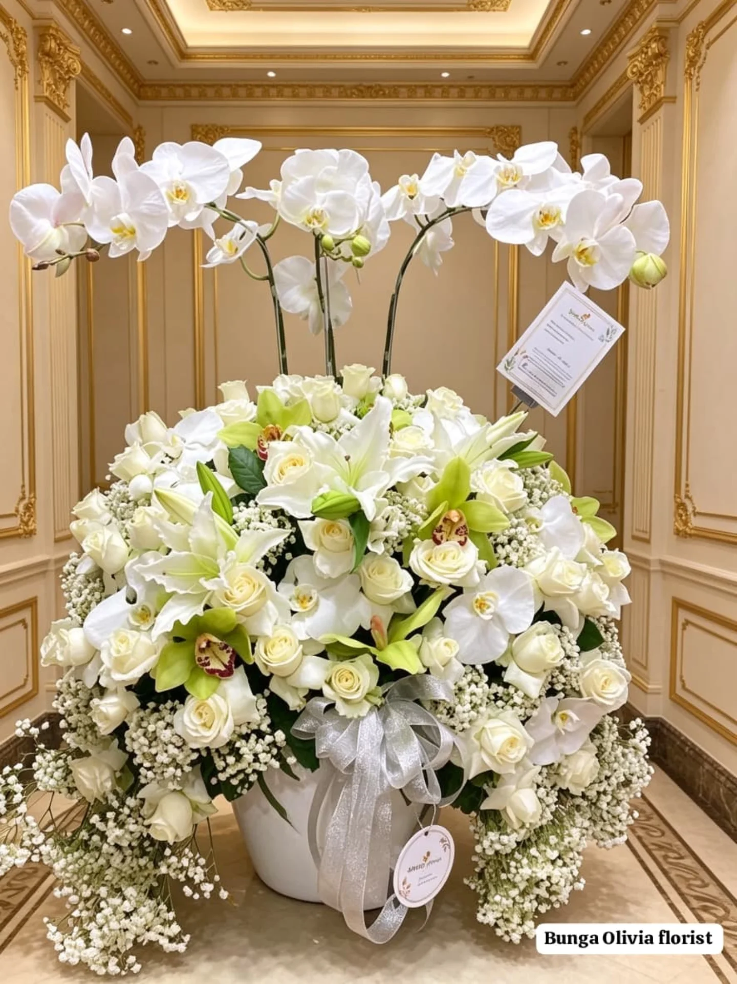 Anggrek Bulan WF-AGR-S008 - IndoFlorist